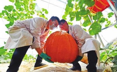 新瓜最新爆料兰州,揭秘城市背后的故事与秘密  第3张